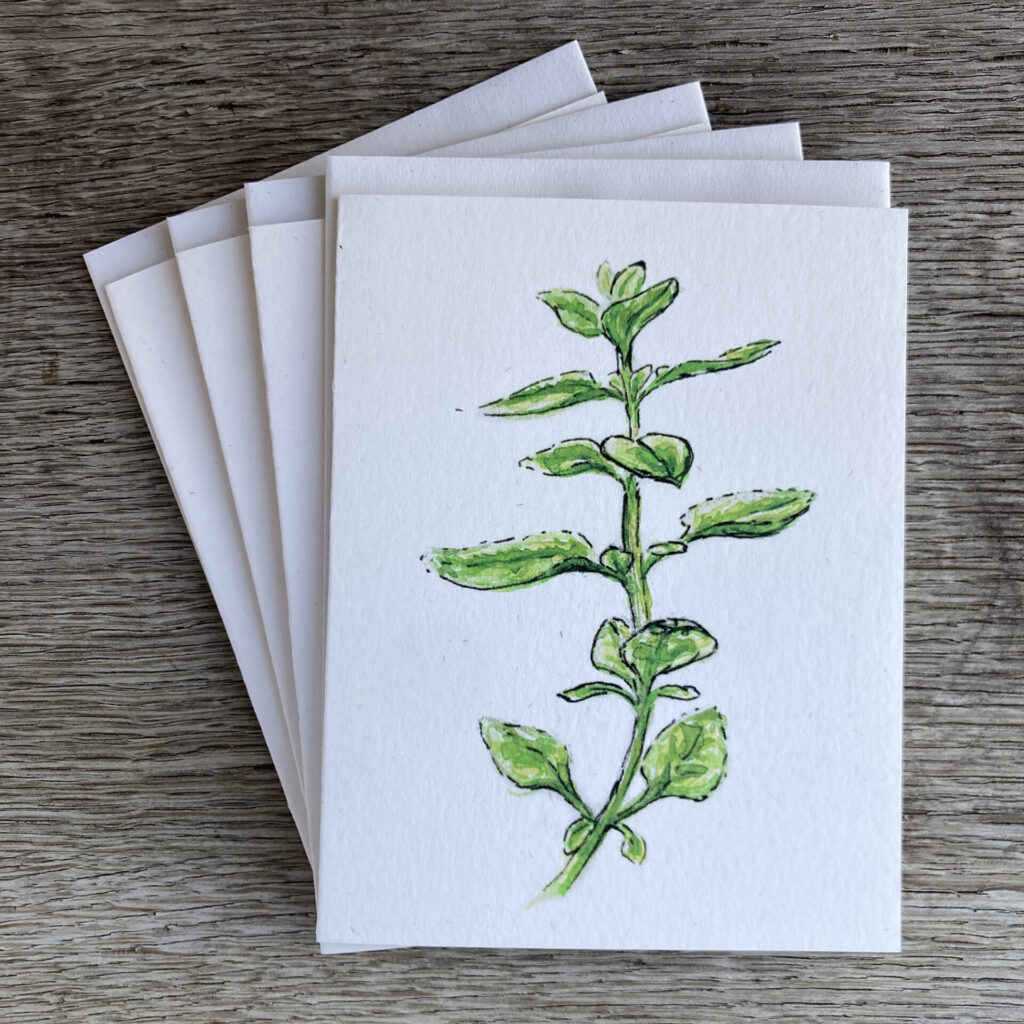 four-pack of cards with envelopes showing a painting of oregano on the front