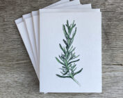 four-pack of cards with envelopes showing a painting of a rosemary plant on the front